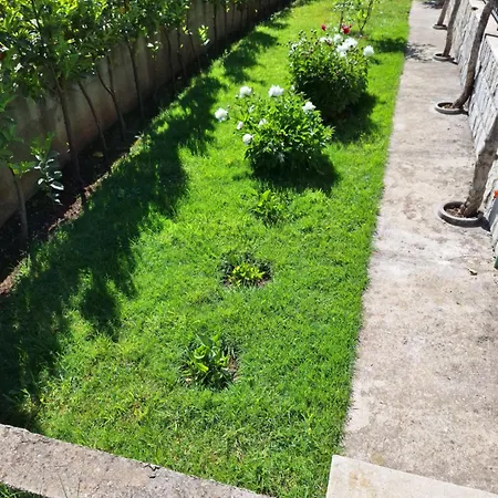 Appartamento Apartment Kivi *