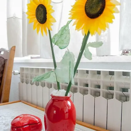 Apartment Slobo Apartment Trebinje